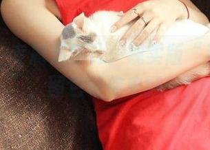 青豆客 – 专属刘钰儿：现实版“运动女神”，图包等你来翻牌！